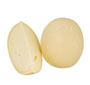 Provolone
