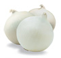 Cipolle